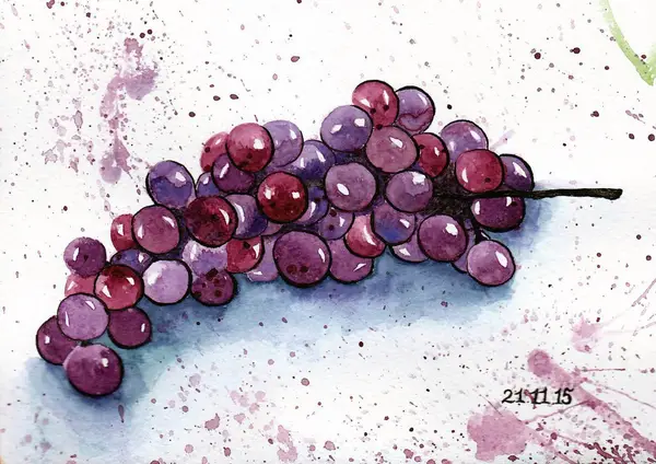 Watercolor grapes by Dasha Voronova