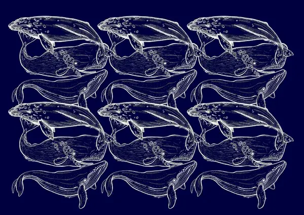 whales, pattern by Dasha Voronova